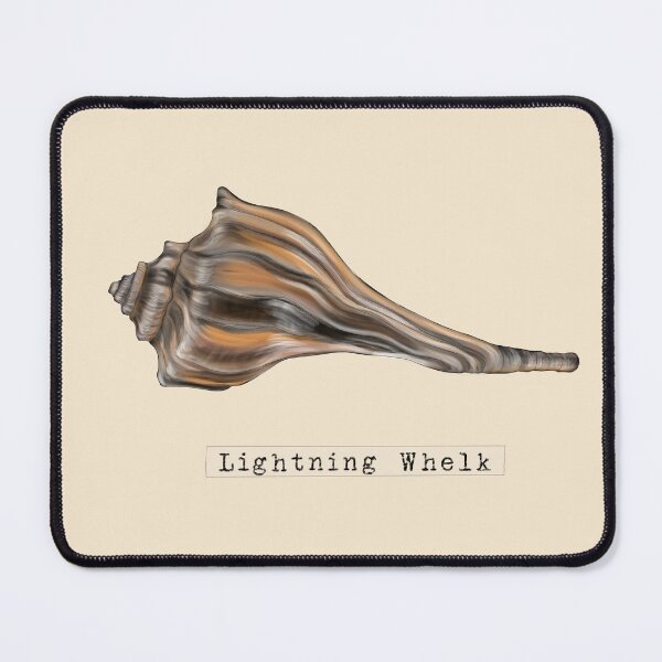 Item preview, Seashell Series Lightning Whelk designed and sold by TasiaZenzura.