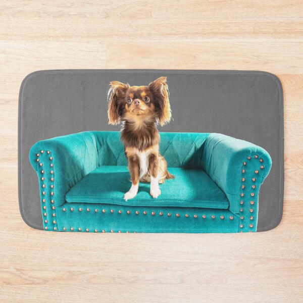 Item preview, Eva The Chihuahua On Her Special Settee designed and sold by Paul Thompson Photography.