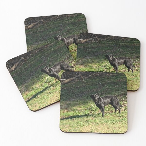 Item preview, A little bit of Labrador  designed and sold by Pearls1.