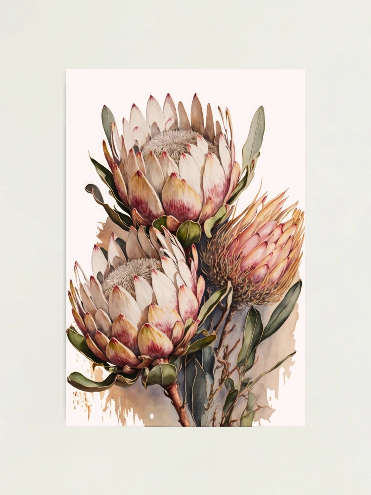 絵画 額縁付 プロテア protea fpp,x_large,metallic,