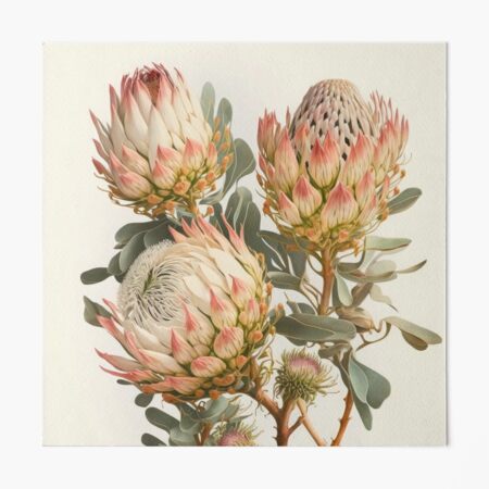 絵画 額縁付 プロテア protea Protea - Canvas Prints & Wall Art | iCanvas
