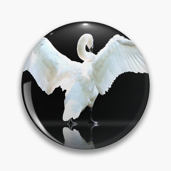 Item preview, The swan dance designed and sold by PET-SHIRTS.