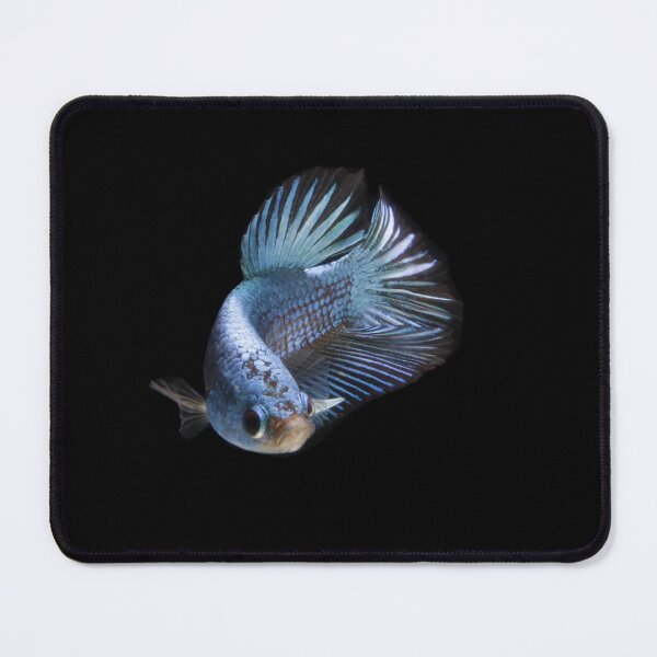 Item preview, Blue betta fish designed and sold by PET-SHIRTS.