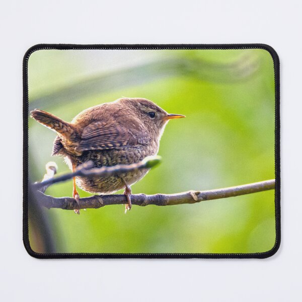 Item preview, Wren and Green designed and sold by George Kelsey.