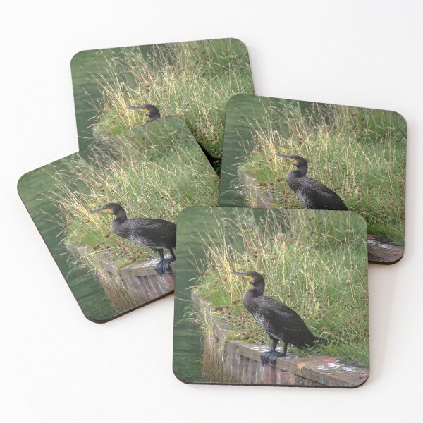 Item preview, Cormorant in Lund designed and sold by frommyhorizon.