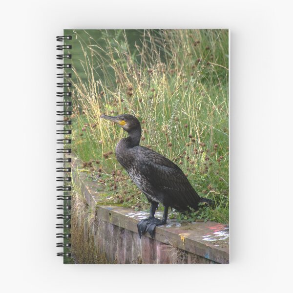 Item preview, Cormorant in Lund designed and sold by frommyhorizon.