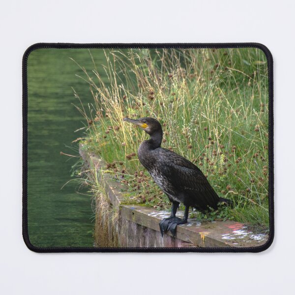 Item preview, Cormorant in Lund designed and sold by frommyhorizon.