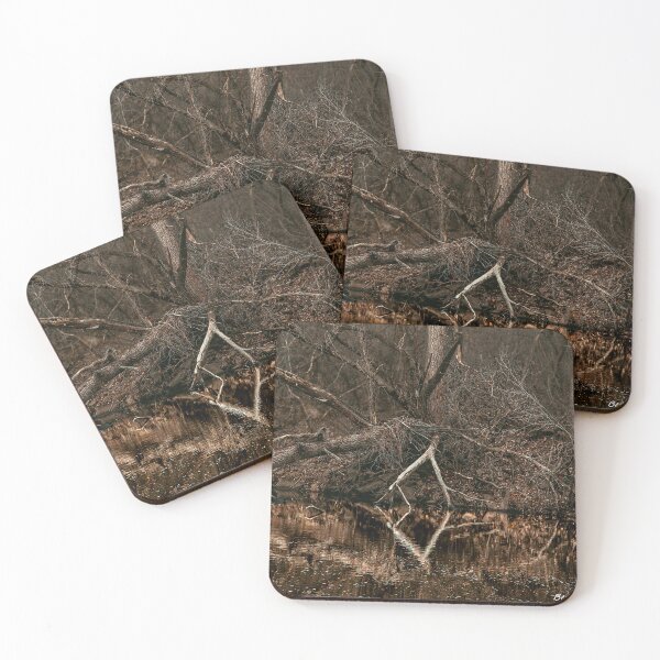 Item preview, Reflection on the River Wall Art designed and sold by Bettie-Scott.