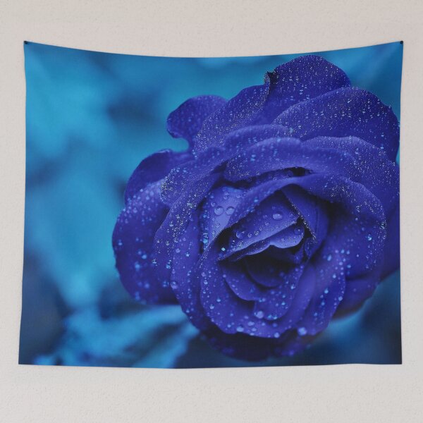 Item preview, Hybrid Tea Rose designed and sold by kris-money.
