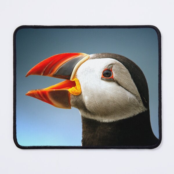 Item preview, Black atlantic puffin designed and sold by PET-SHIRTS.