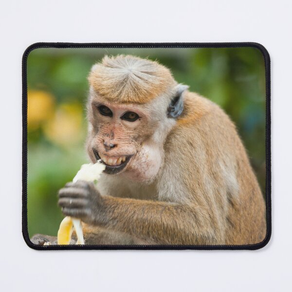 Item preview, Monkey smiling designed and sold by PET-SHIRTS.