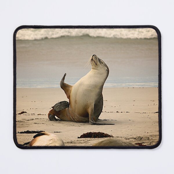 Item preview, Sea lion waving designed and sold by PET-SHIRTS.