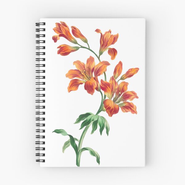 Item preview, Vintage Flowerpattern - orang lily vector vintage floral art print designed and sold by YANAY-FASHION.