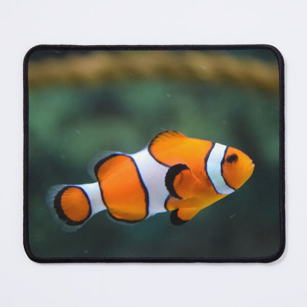 Item preview, Clown fish swimming designed and sold by PET-SHIRTS.