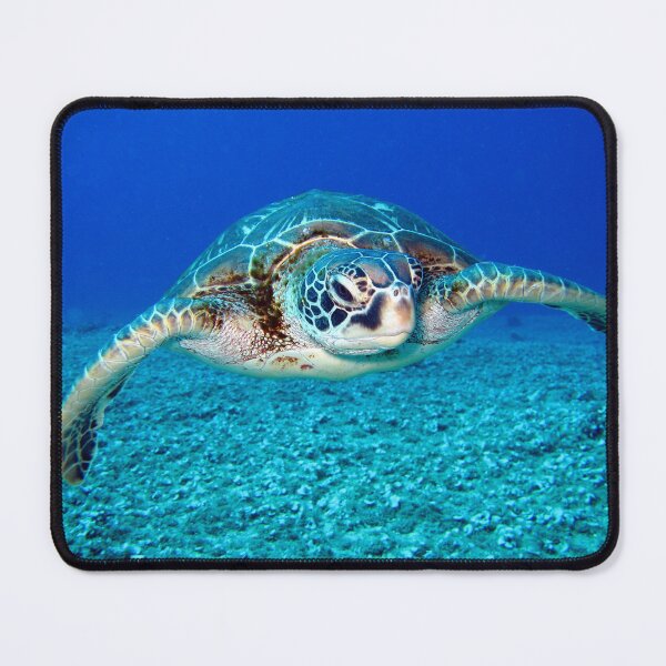 Item preview, Black and white turtle designed and sold by PET-SHIRTS.