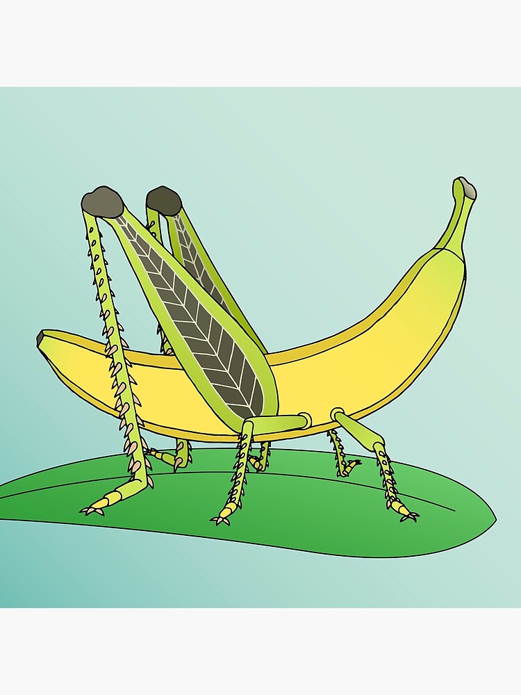 Banana Grasshopper by bekome
