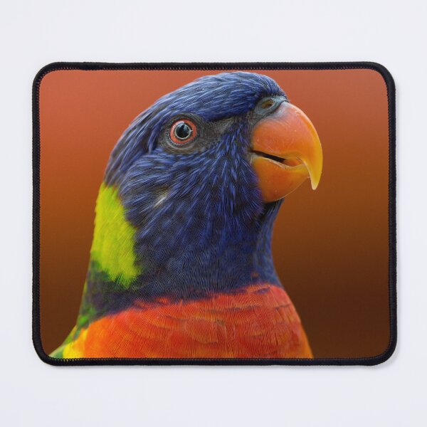 Item preview, Blue, orange and green parrot designed and sold by PET-SHIRTS.
