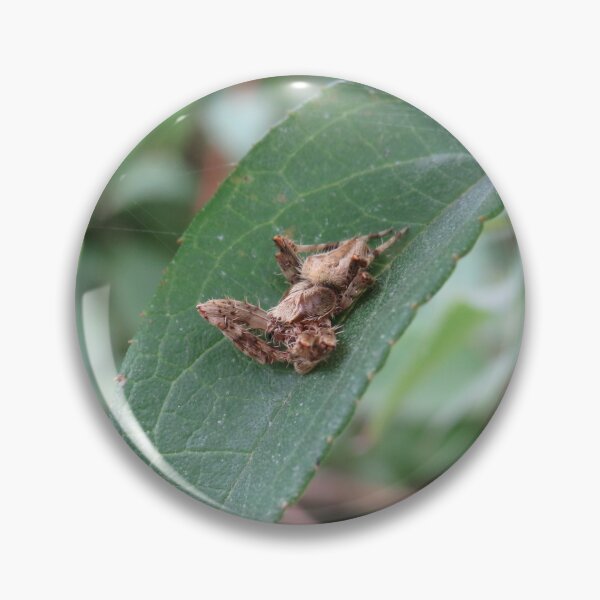 Item preview, Cool spider on a leaf designed and sold by greentiger1.
