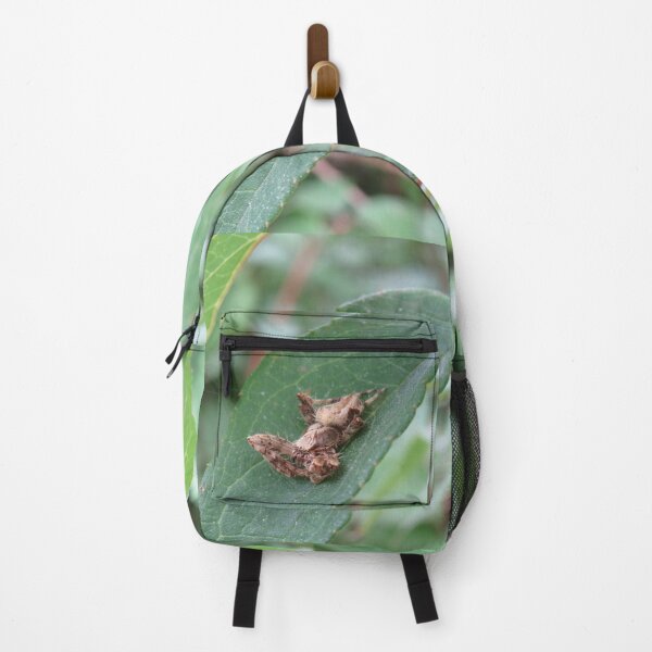 Item preview, Cool spider on a leaf designed and sold by greentiger1.