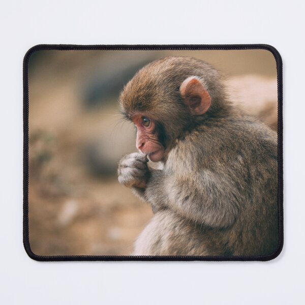 Item preview, The pensive little monkey designed and sold by PET-SHIRTS.