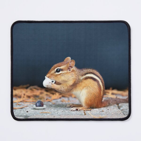 Item preview, Squirrel having tea designed and sold by PET-SHIRTS.