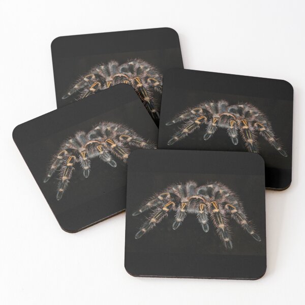 Item preview, Tarantula in black background designed and sold by PET-SHIRTS.