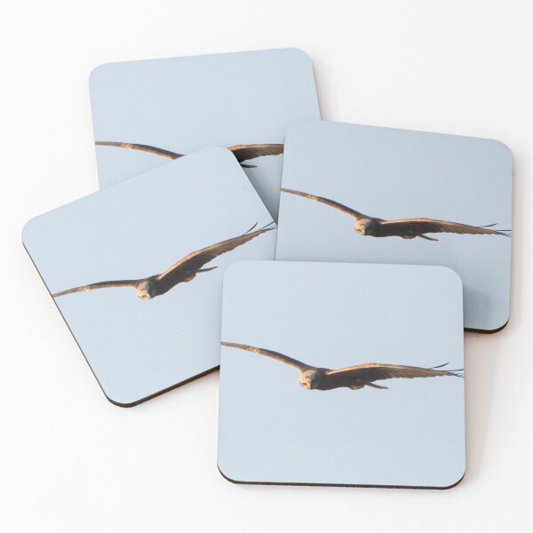 Item preview, Marsh Harrier designed and sold by LaurenTucker.