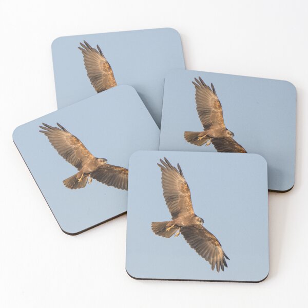 Item preview, Marsh Harrier designed and sold by LaurenTucker.