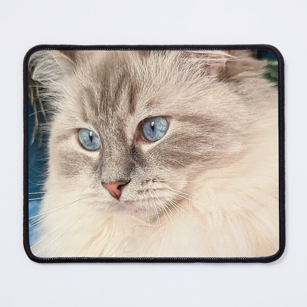 Item preview, Romantic ragdoll cat with roses designed and sold by Fluffycat2020.