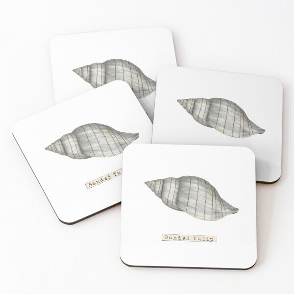 Item preview, Seashell Series Banded Tulip Shell designed and sold by TasiaZenzura.