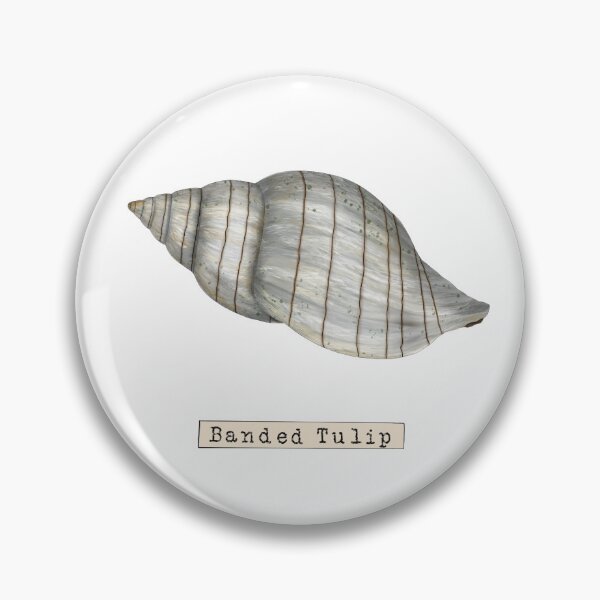 Item preview, Seashell Series Banded Tulip Shell designed and sold by TasiaZenzura.