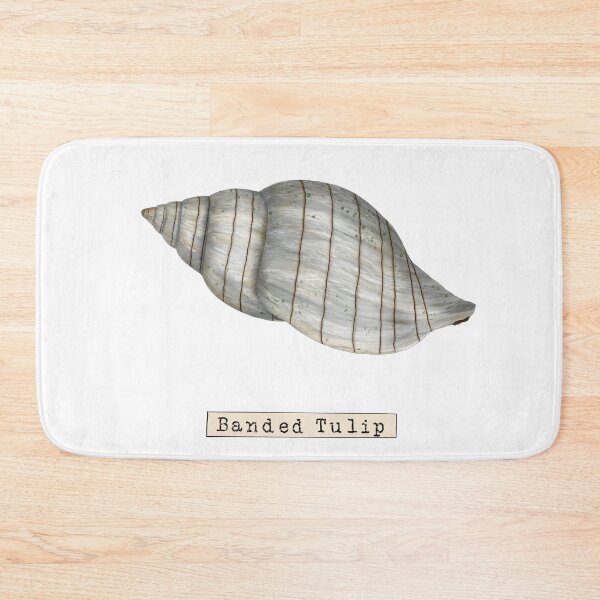 Item preview, Seashell Series Banded Tulip Shell designed and sold by TasiaZenzura.