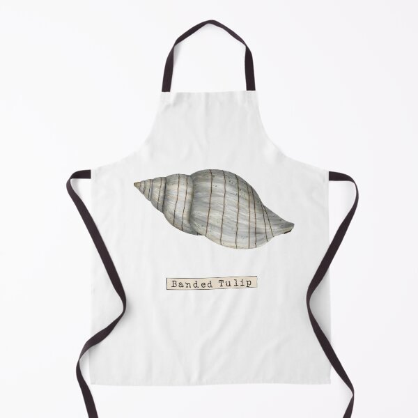 Item preview, Seashell Series Banded Tulip Shell designed and sold by TasiaZenzura.