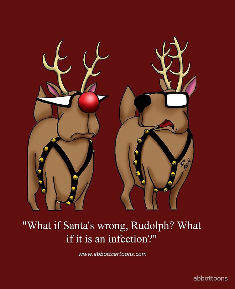 Funny Christmas Reindeer Holiday Humor