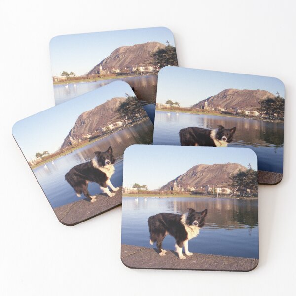 Item preview, Indy at the boating pond designed and sold by Michael Haslam.