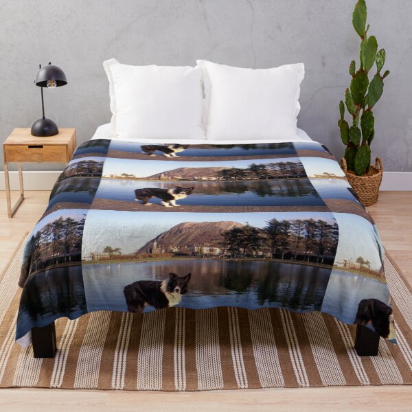 Item preview, Indy at the boating pond designed and sold by Michael Haslam.