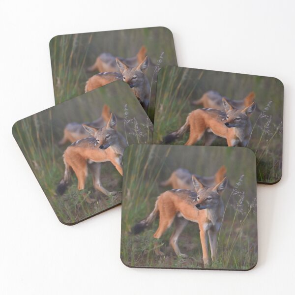 Item preview, Black-backed Jackal | African Wildlife designed and sold by Artisnaps.