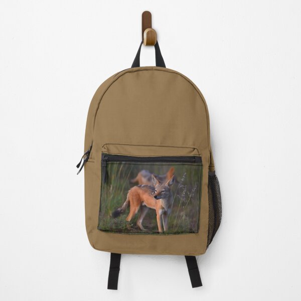 Item preview, Black-backed Jackal | African Wildlife designed and sold by Artisnaps.