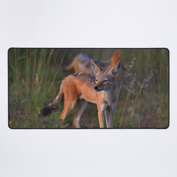 Item preview, Black-backed Jackal | African Wildlife designed and sold by Artisnaps.