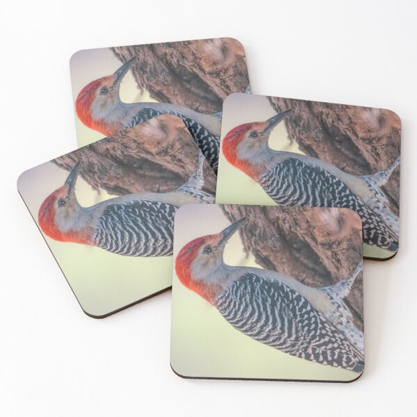 Item preview, Busy Red-bellied Woodpecker designed and sold by Debra Martz.