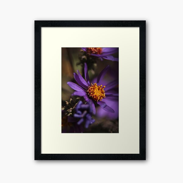 Flowers in Macro Framed Art Print