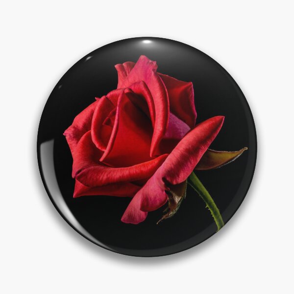 Item preview, Hybrid Tea Rose Plant designed and sold by kris-money.