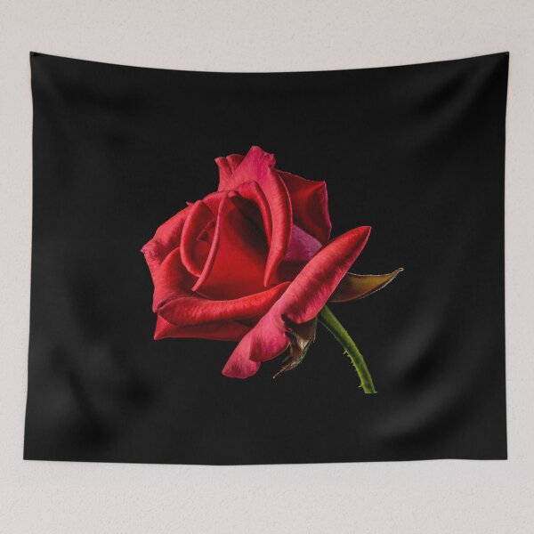 Item preview, Hybrid Tea Rose Plant designed and sold by kris-money.