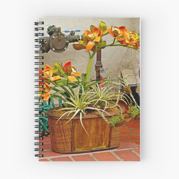 Item preview, Carmel Orchids in a Corner  designed and sold by Robert Meyers-Lussier.