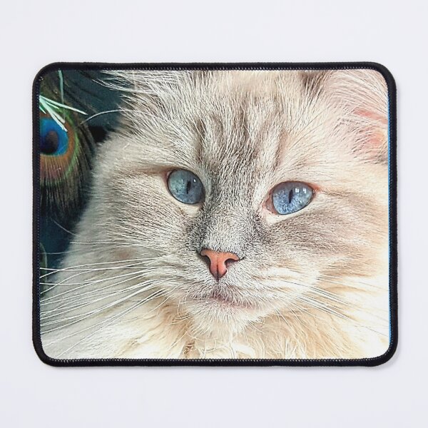 Item preview, Romantic ragdoll cat with roses designed and sold by Fluffycat2020.