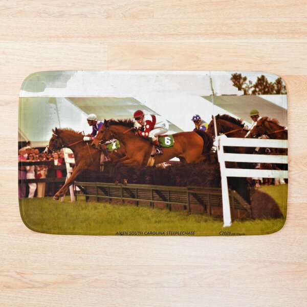 Item preview, AIKEN STEEPLECHASE C2023 Steve Yellowbear Fine Art designed and sold by SteveYellowbear.
