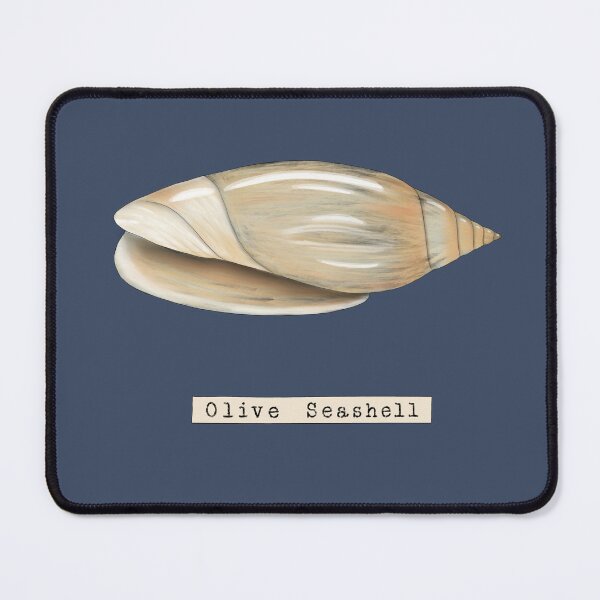 Item preview, Seashell Series Olive Shell designed and sold by TasiaZenzura.