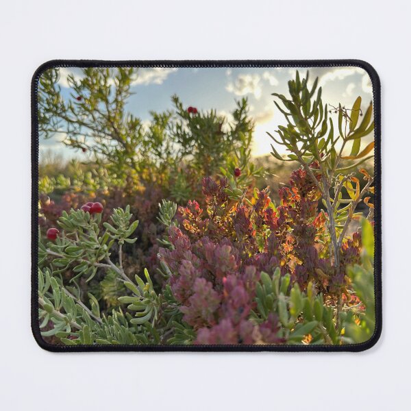 Item preview, TreeTops designed and sold by SpaceRiver.