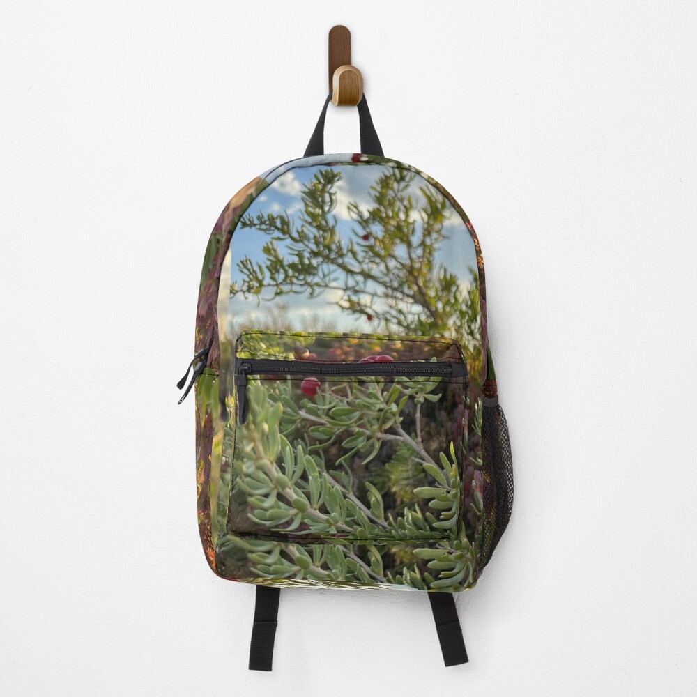 Item preview, Backpack designed and sold by SpaceRiver.