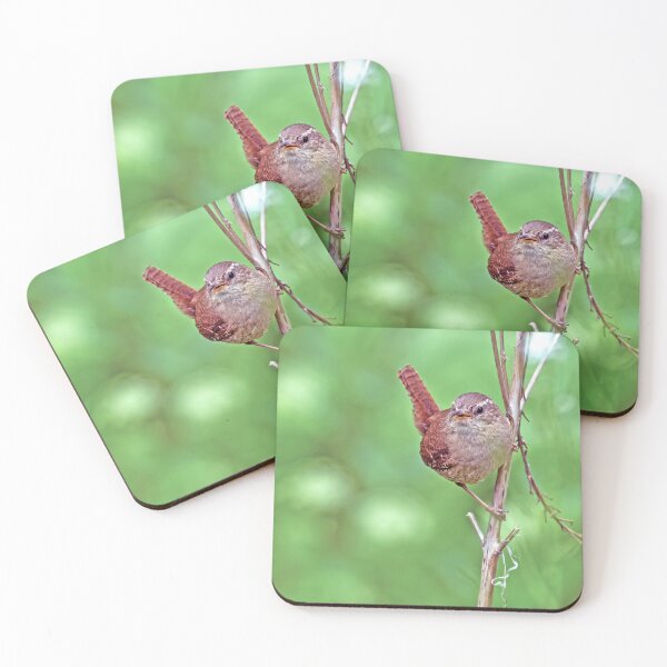 Item preview, Posing Wren designed and sold by George Kelsey.